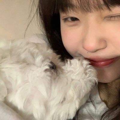 犬夜叉觉醒公测版下载